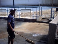 /album/no-dia-da-chuva/imagem-093-jpg/